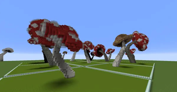 9x Big Mushroom Pack